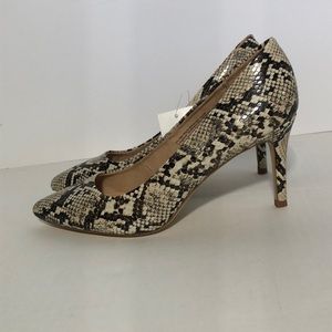 Women’s Snake Skin Print Pointed Toe Pumps